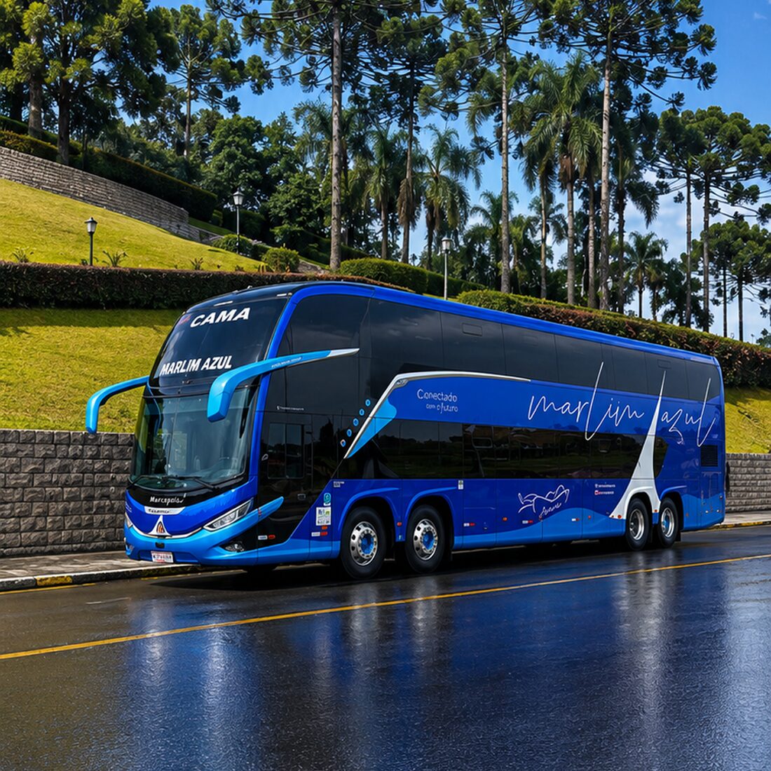 dd-leitocama-26+3 1